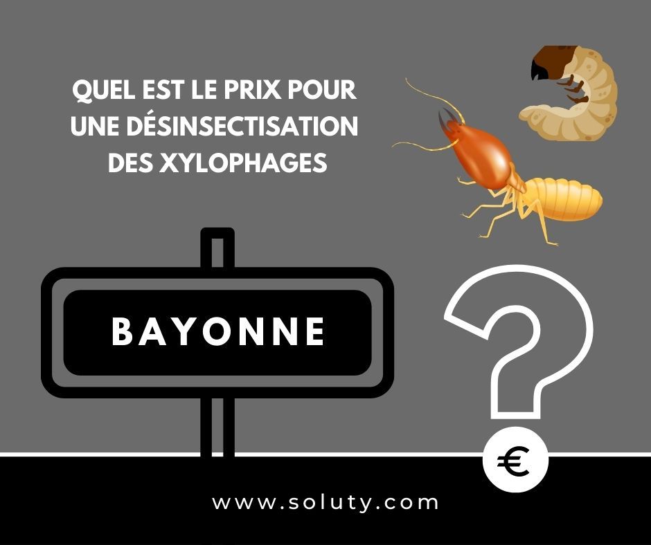 quel est le prix pour un traitement de désinsectisation insectes xylophages ? 