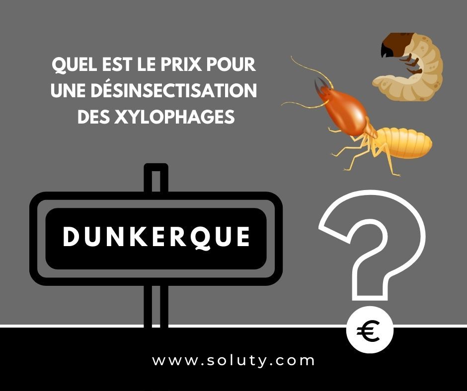 quel est le prix pour un traitement de désinsectisation insectes xylophages ? 