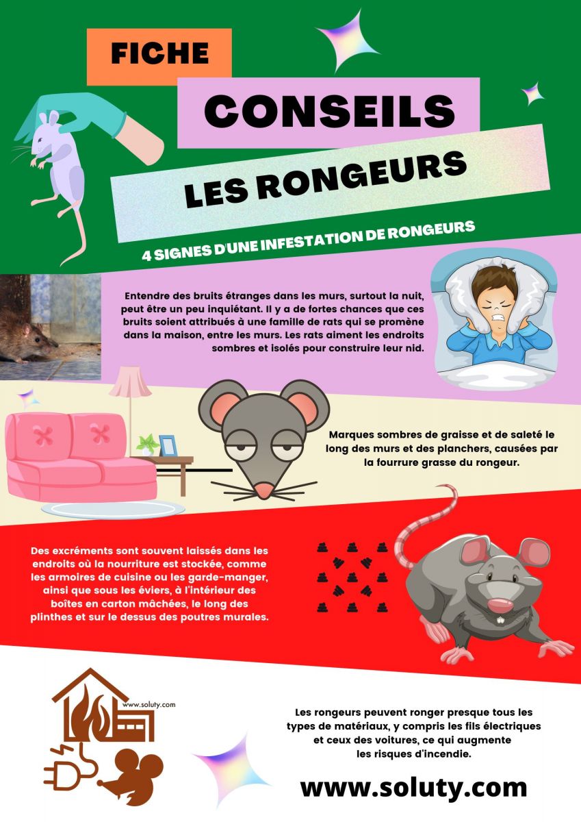 Quels sont les signes d'une infestation de rongeurs chez vous ?