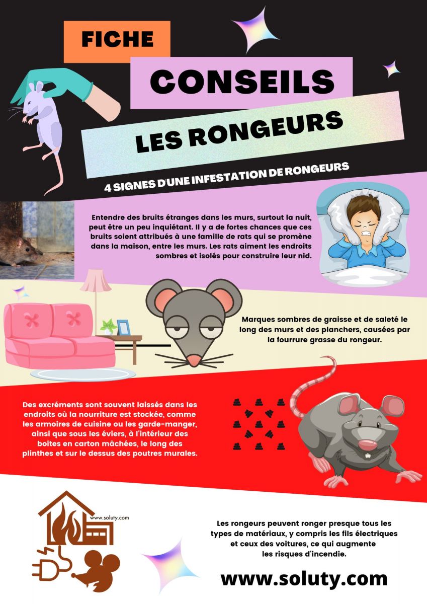 Quels sont les signes d'une infestation de rongeurs chez vous ?