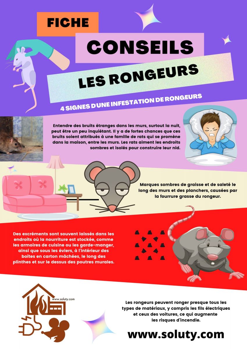 Quels sont les signes d'une infestation de rongeurs chez vous ?