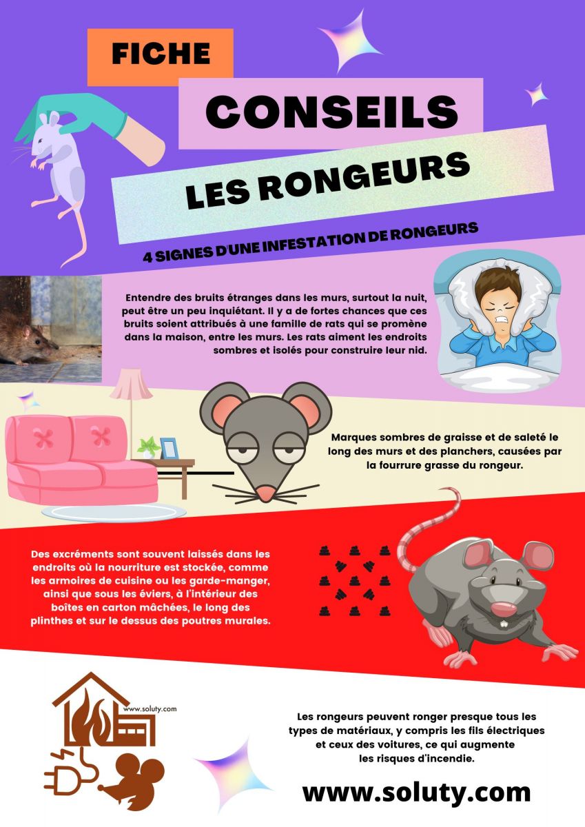 Quels sont les signes d'une infestation de rongeurs chez vous ?