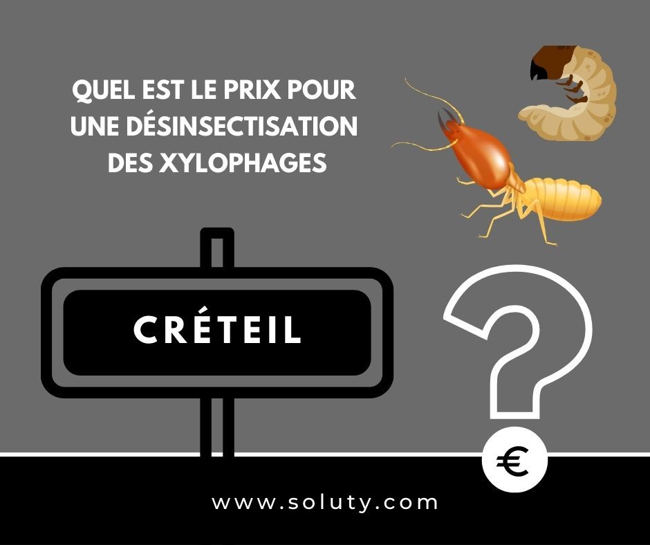 quel est le prix pour un traitement de désinsectisation insectes xylophages ? 