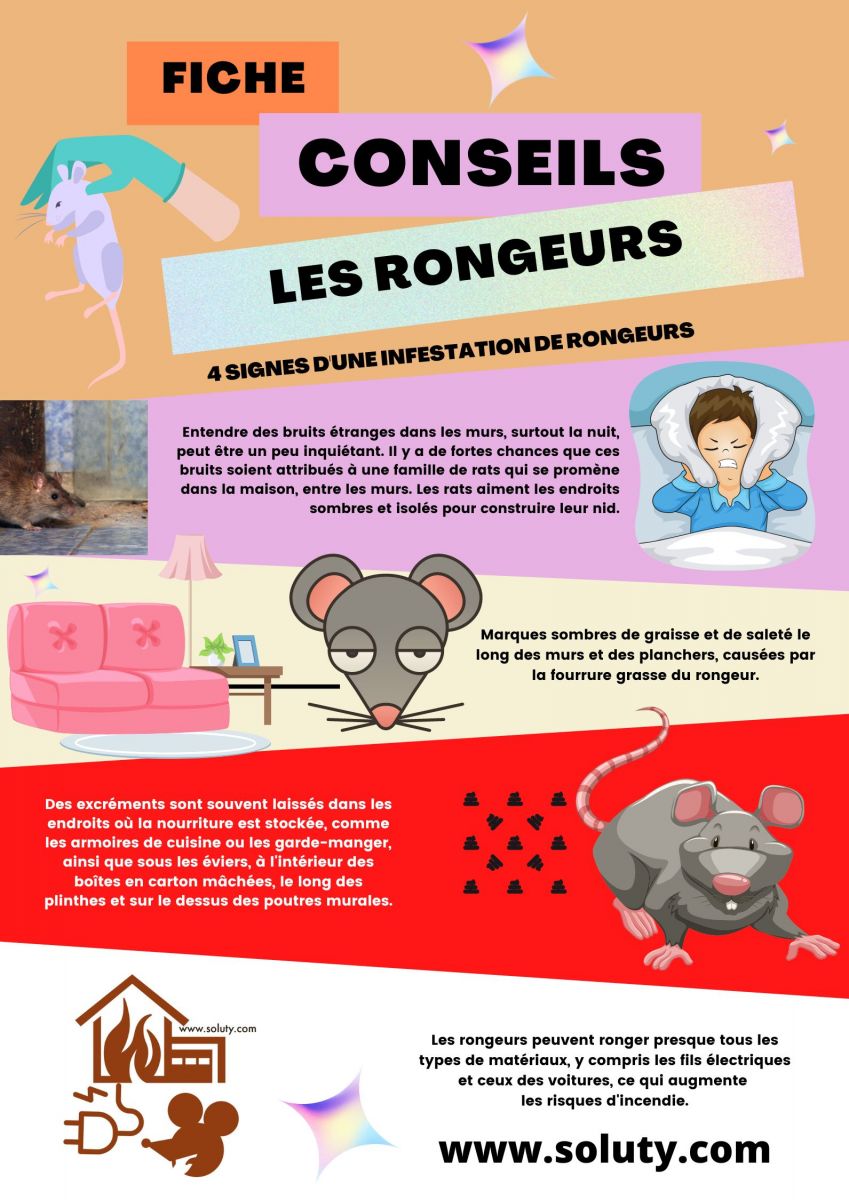 Quels sont les signes d'une infestation de rongeurs chez vous ?