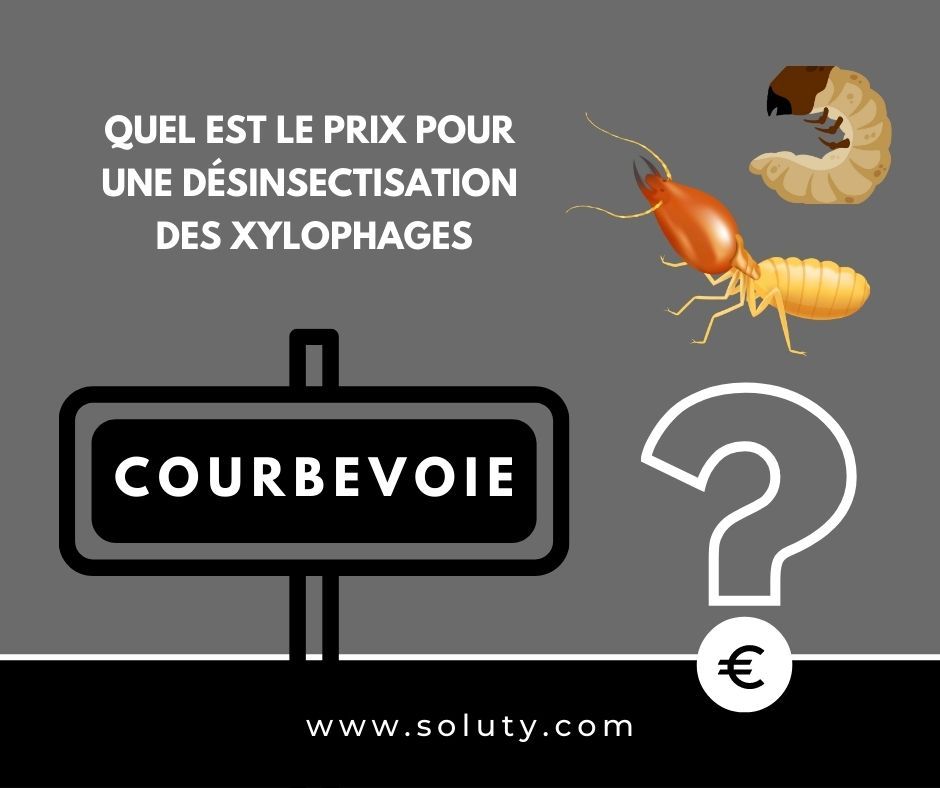 quel est le prix pour un traitement de désinsectisation insectes xylophages ? 