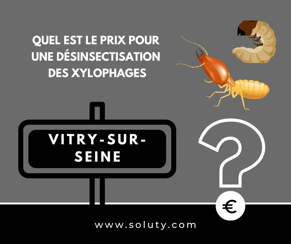 quel est le prix pour un traitement de désinsectisation insectes xylophages ? 