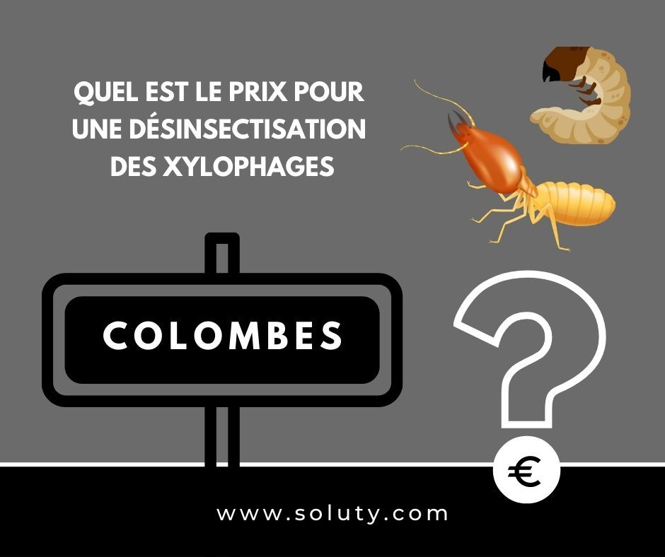 quel est le prix pour un traitement de désinsectisation insectes xylophages ? 