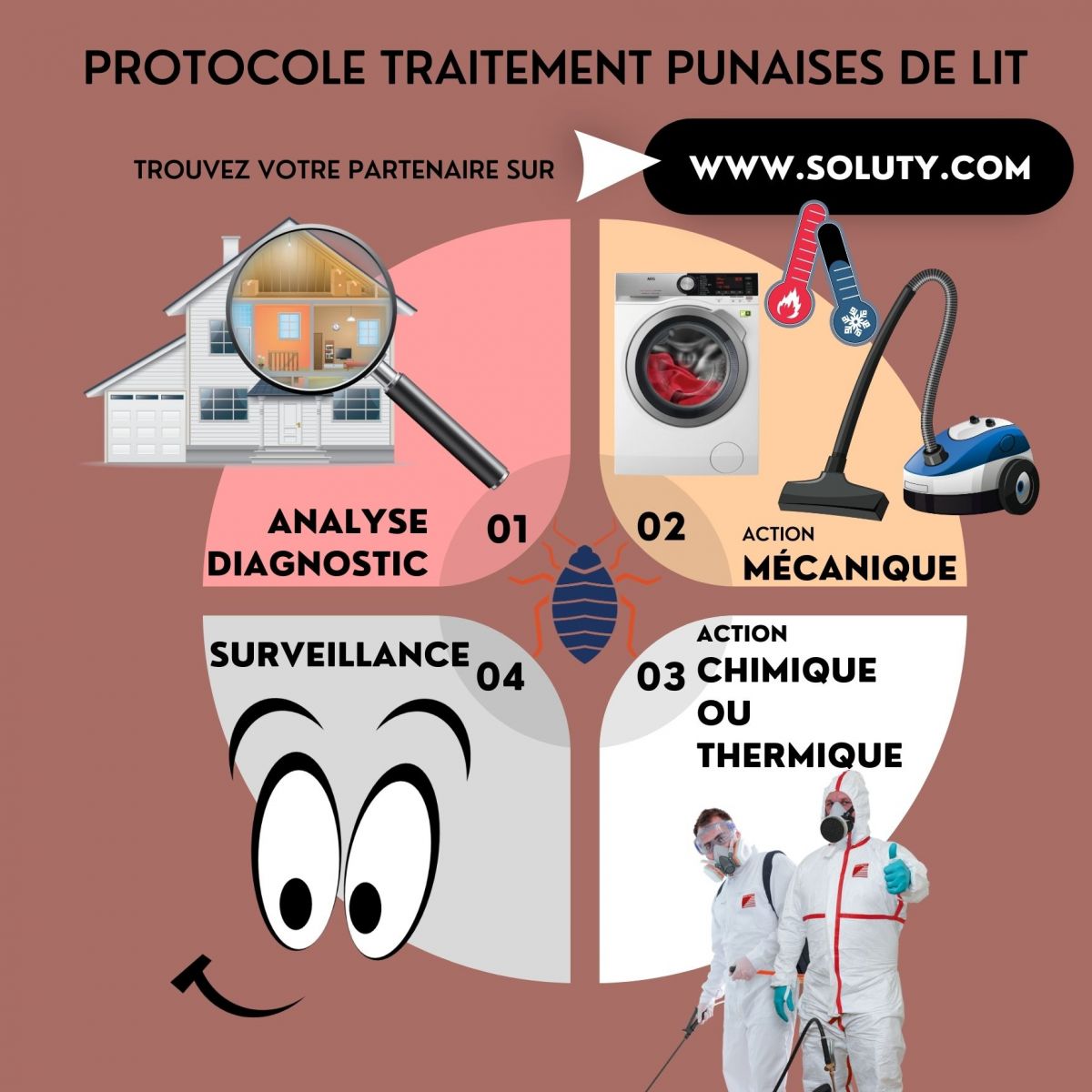 Protocole traitement punaises de lit 