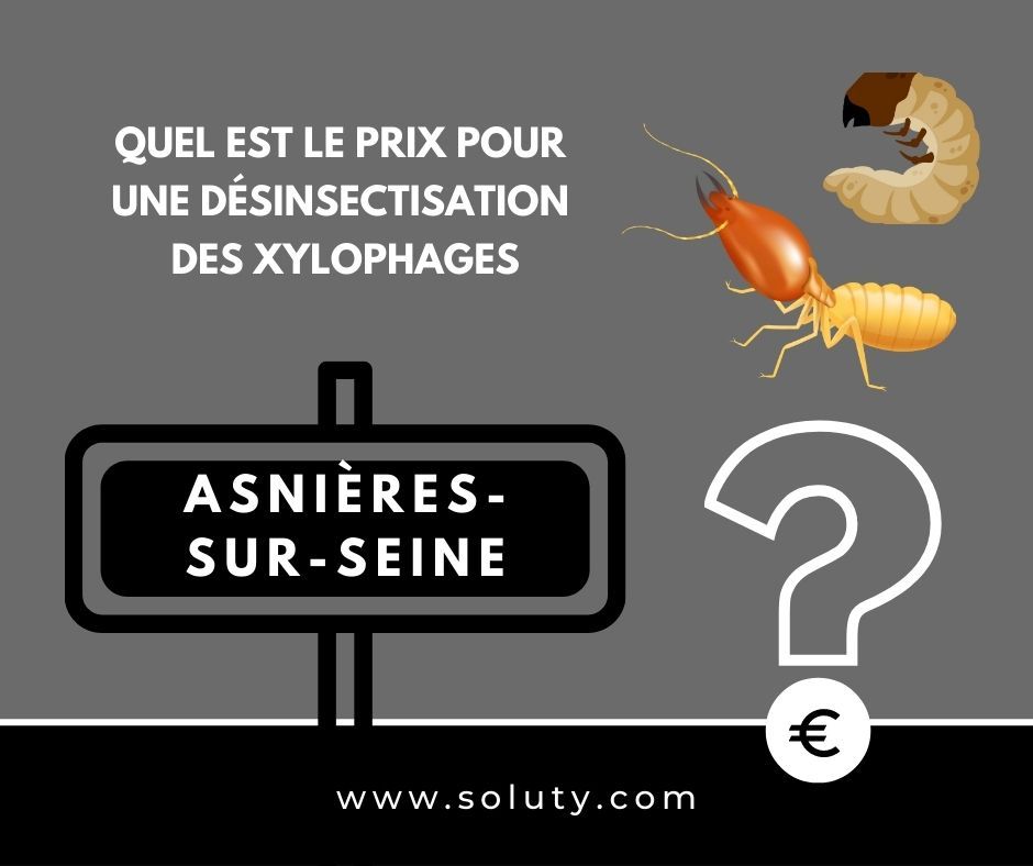 quel est le prix pour un traitement de désinsectisation insectes xylophages ? 