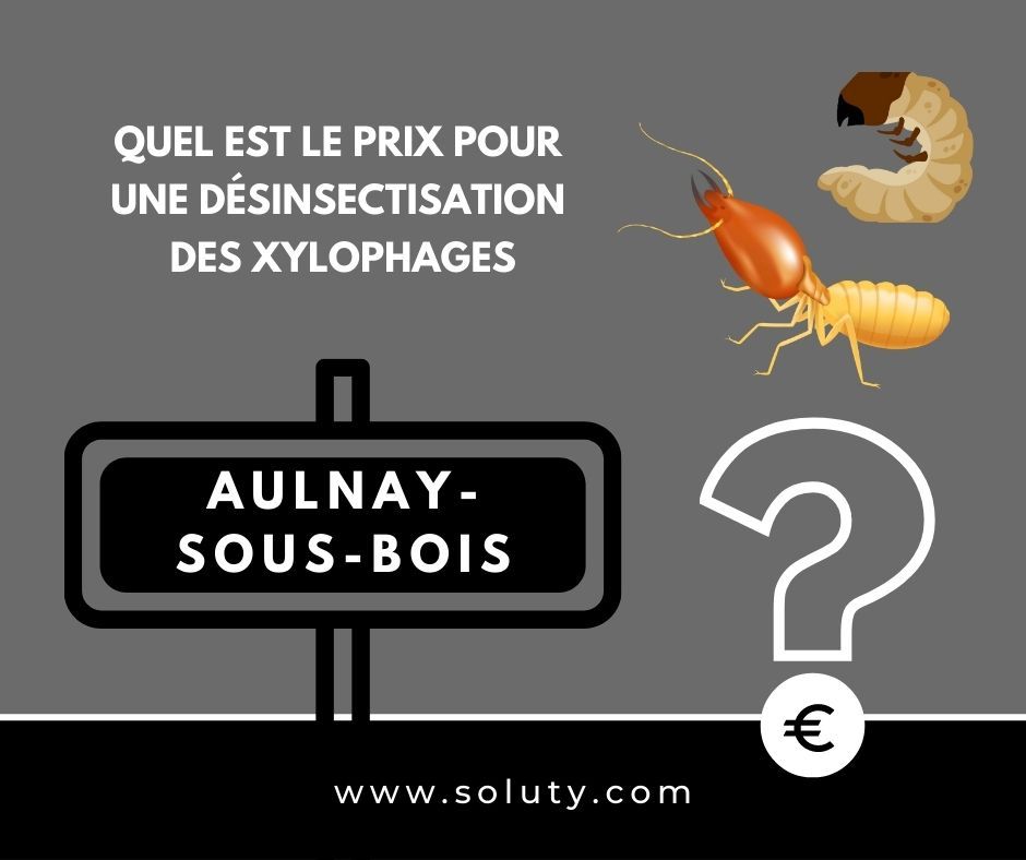 quel est le prix pour un traitement de désinsectisation insectes xylophages ? 