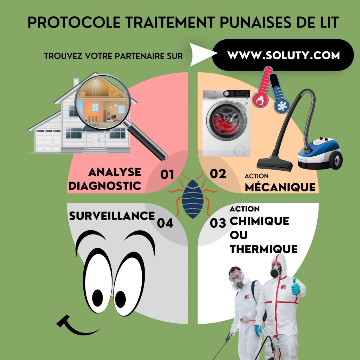 Protocole traitement punaises de lit 