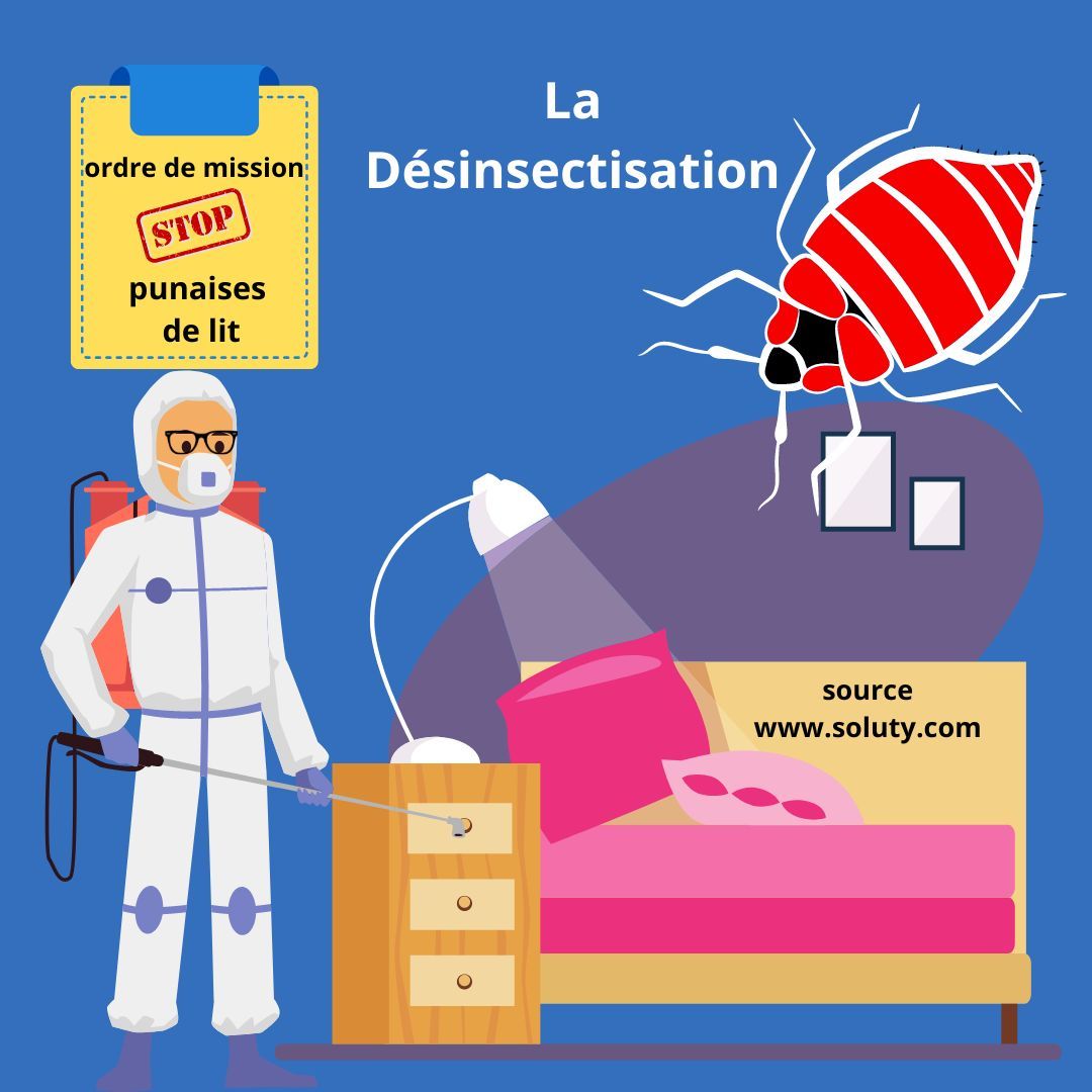 Désinsectisation punaises de lit