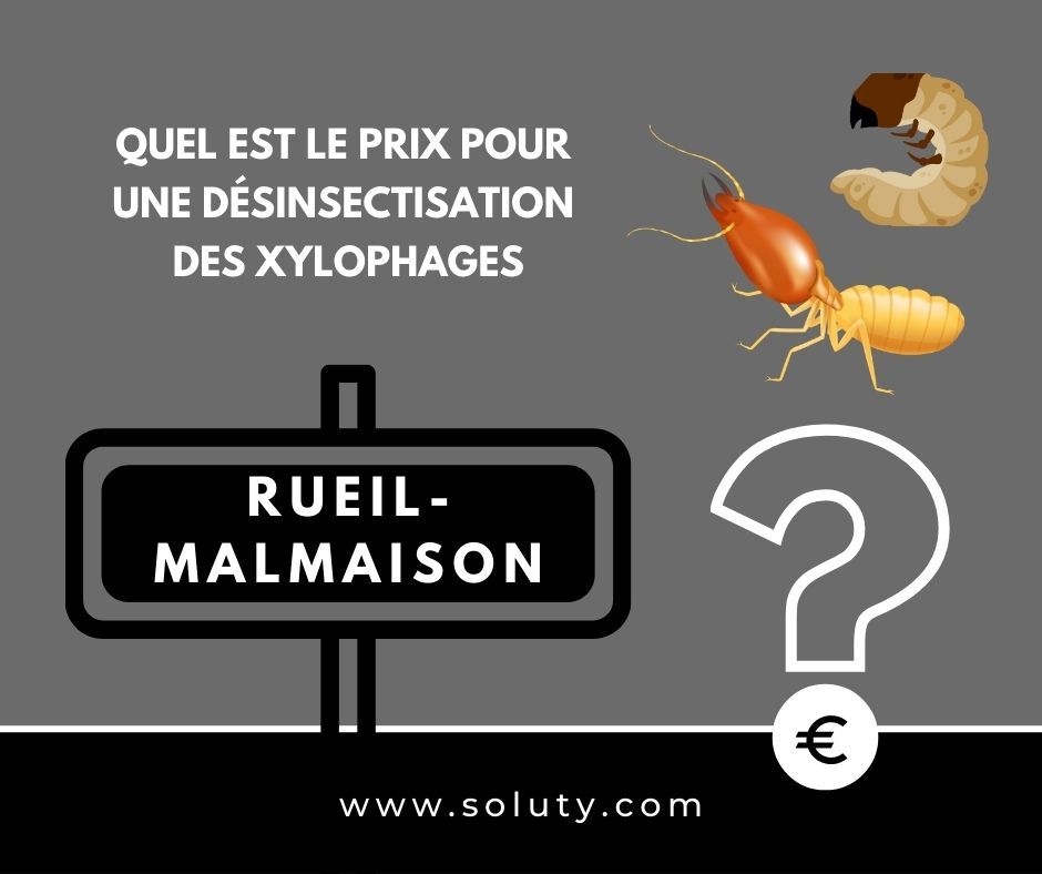 quel est le prix pour un traitement de désinsectisation insectes xylophages ? 