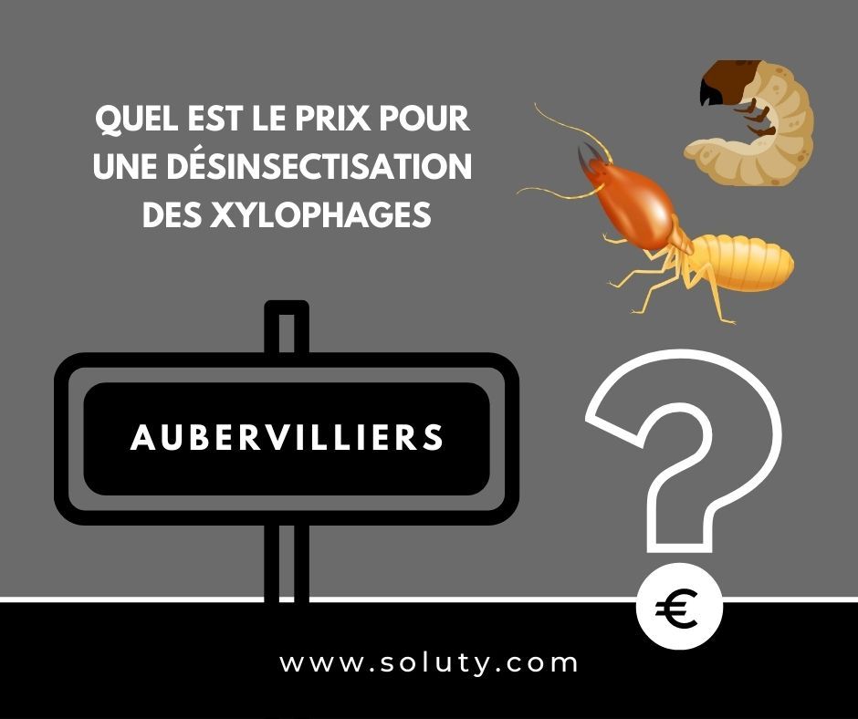 quel est le prix pour un traitement de désinsectisation insectes xylophages ? 