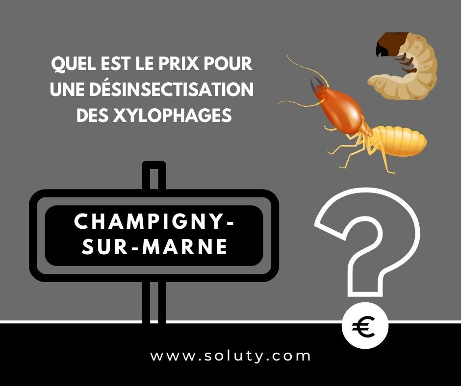 quel est le prix pour un traitement de désinsectisation insectes xylophages ? 