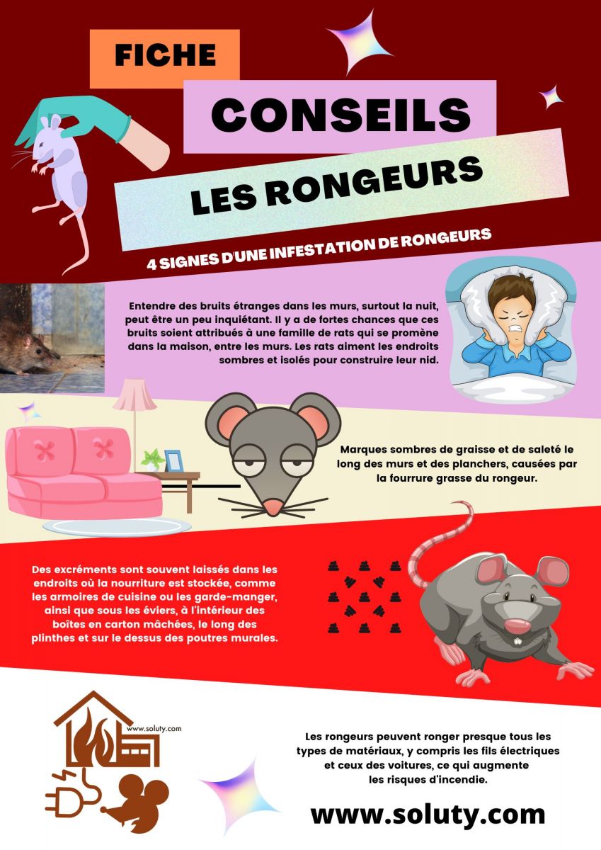 Quels sont les signes d'une infestation de rongeurs chez vous ?