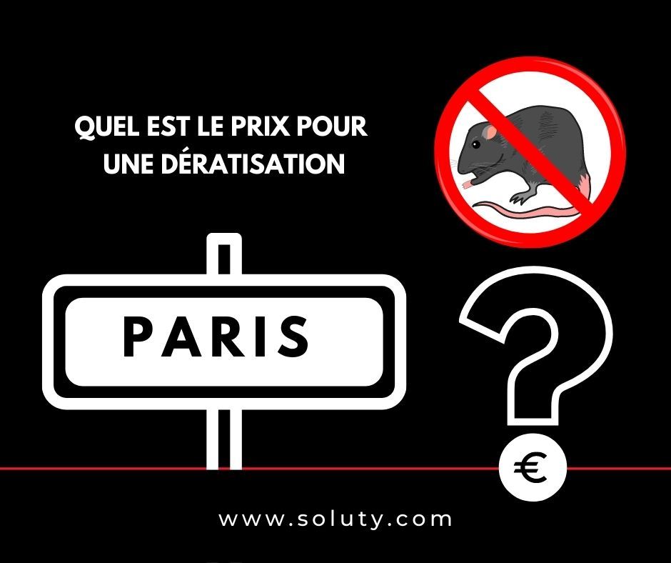 Combien coûte une dératisation à Paris ?