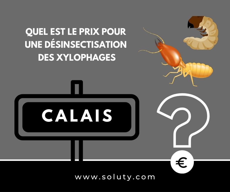 quel est le prix pour un traitement de désinsectisation insectes xylophages ? 