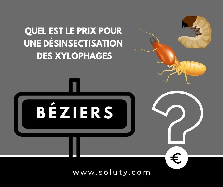 quel est le prix pour un traitement de désinsectisation insectes xylophages ? 