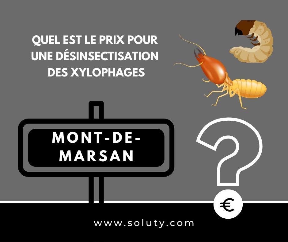 quel est le prix pour un traitement de désinsectisation insectes xylophages ? 