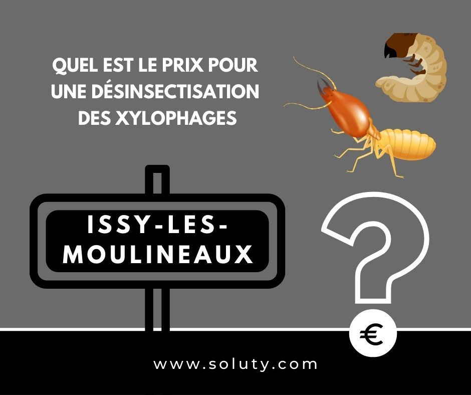 quel est le prix pour un traitement de désinsectisation insectes xylophages ? 