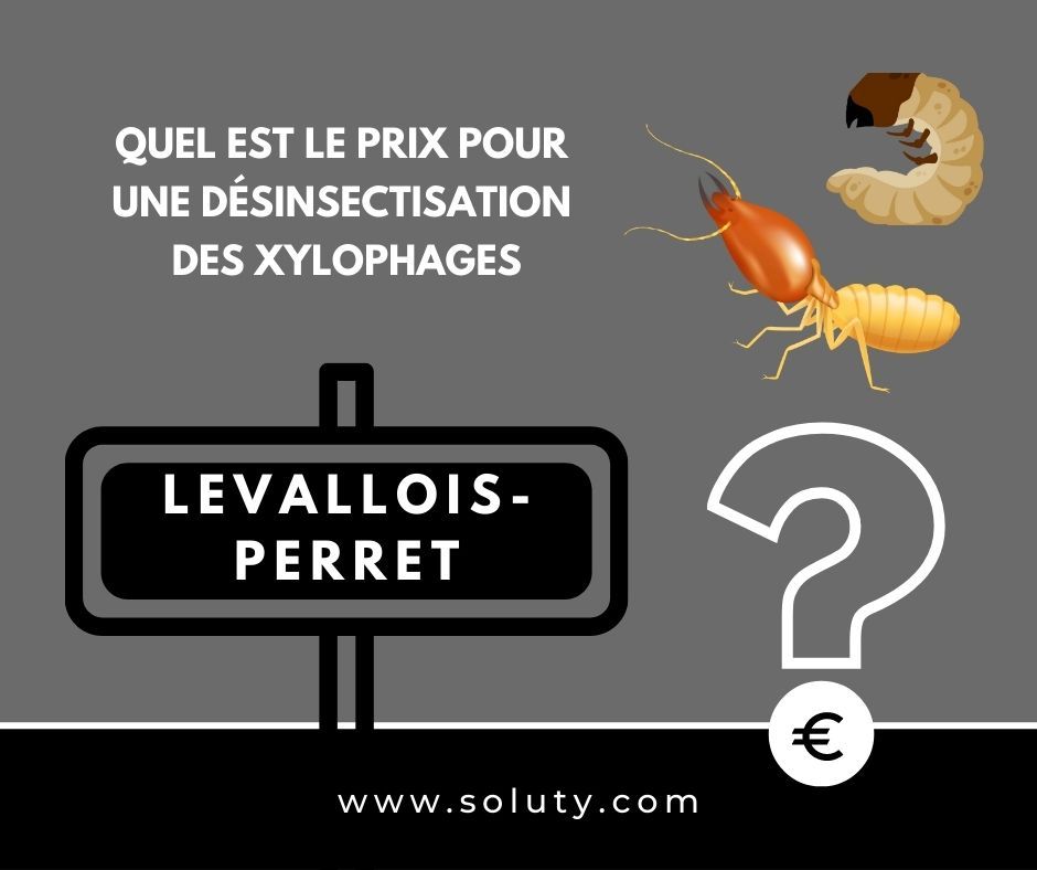 quel est le prix pour un traitement de désinsectisation insectes xylophages ? 