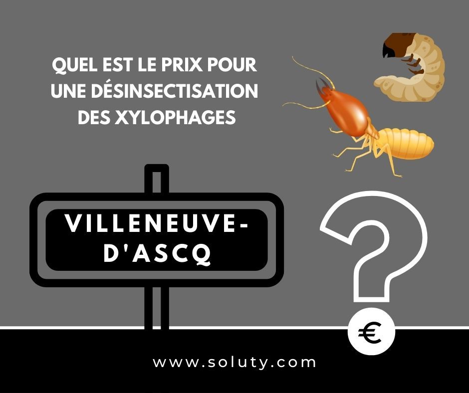 quel est le prix pour un traitement de désinsectisation insectes xylophages ? 