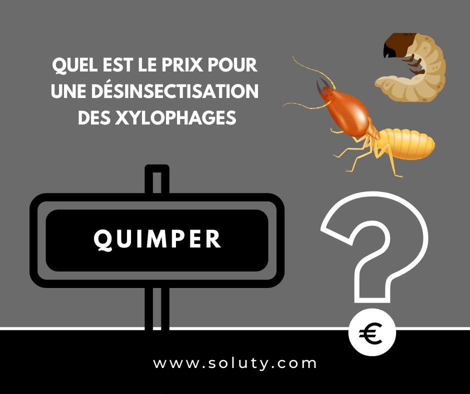 quel est le prix pour un traitement de désinsectisation insectes xylophages ? 