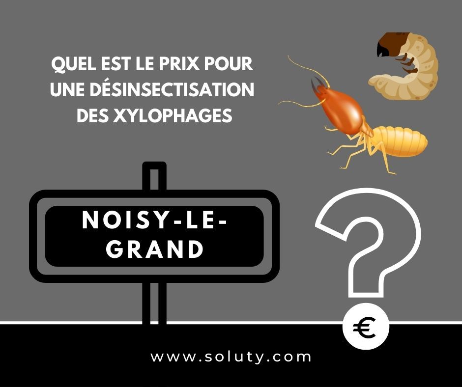 quel est le prix pour un traitement de désinsectisation insectes xylophages ? 