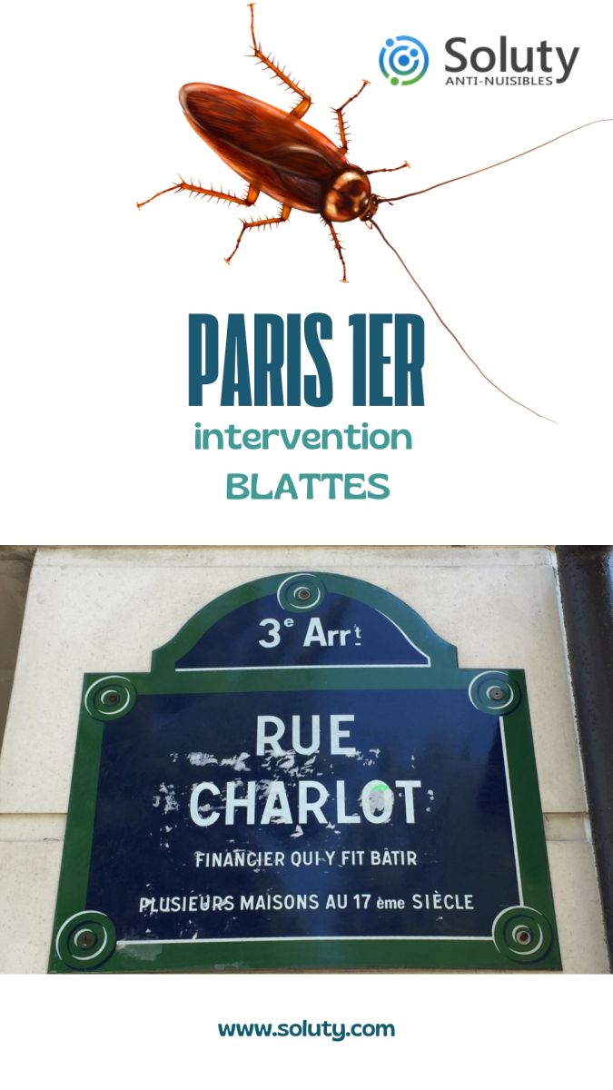 Cafard Paris 3e : Société Désinsectisation Blatte (75003)