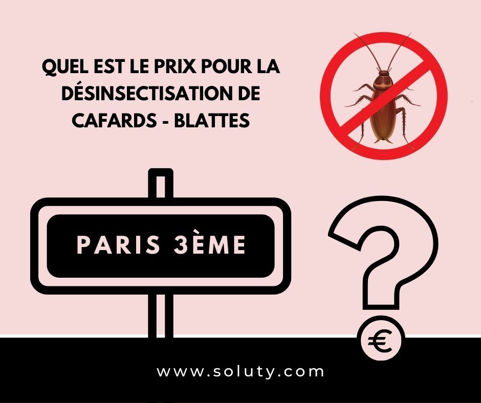 TARIFS : Combien coûte la désinsectisation cafards à Paris 75003 ? 