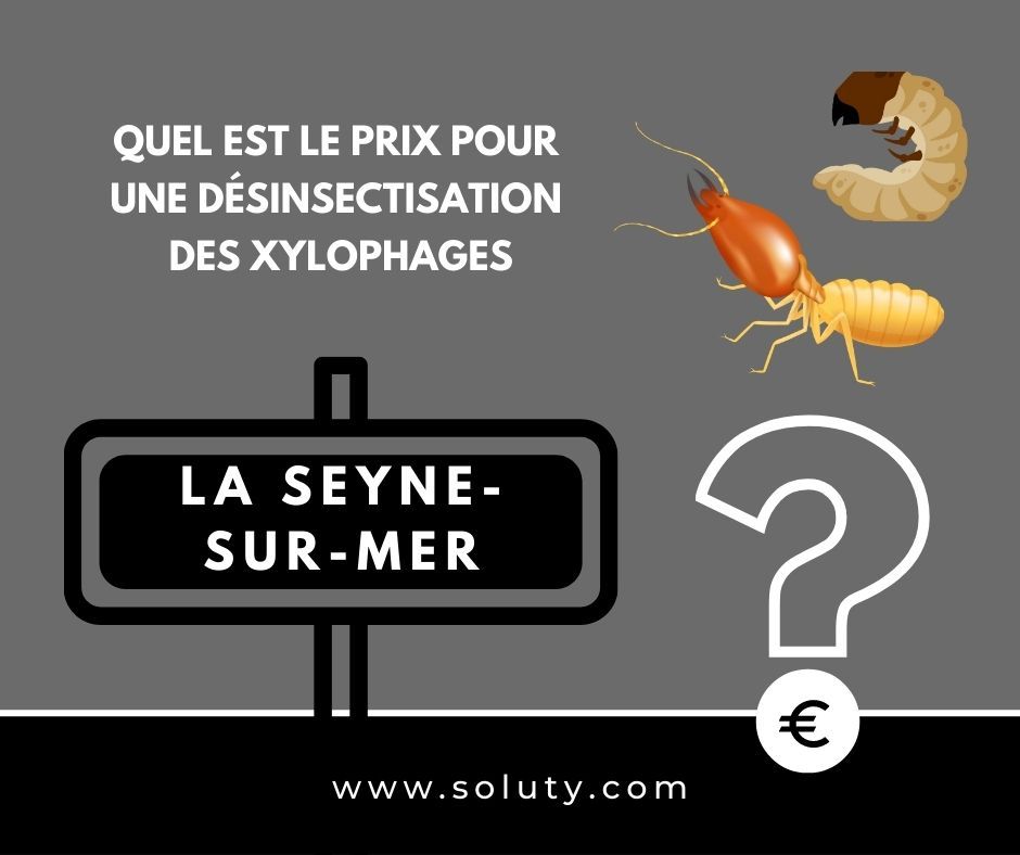 quel est le prix pour un traitement de désinsectisation insectes xylophages ? 