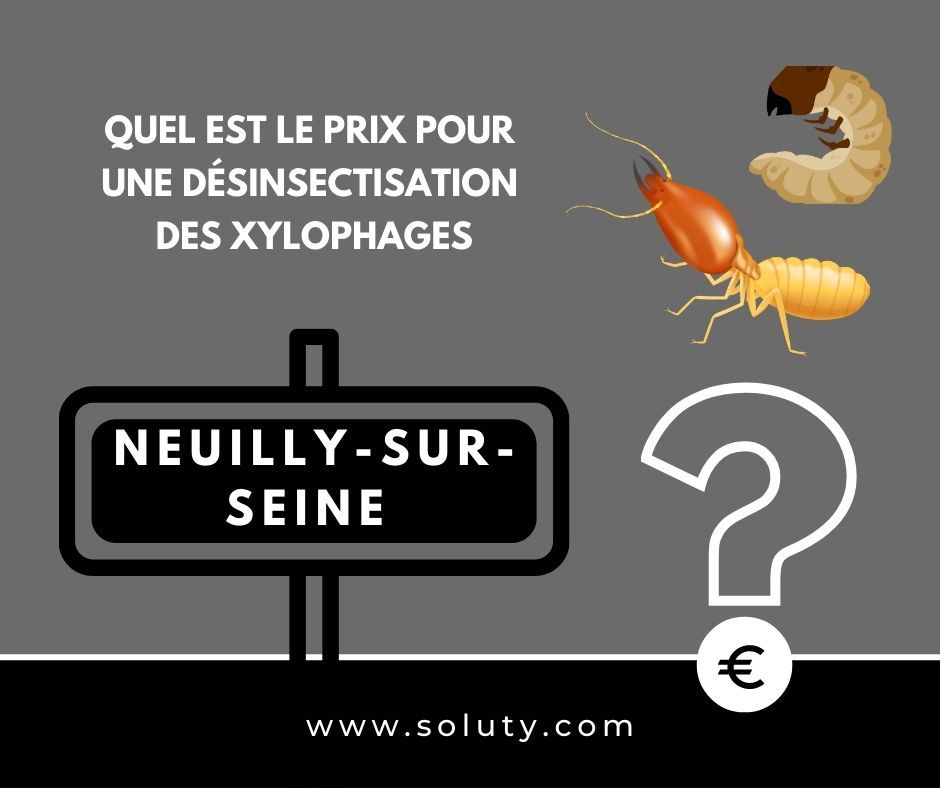 quel est le prix pour un traitement de désinsectisation insectes xylophages ? 