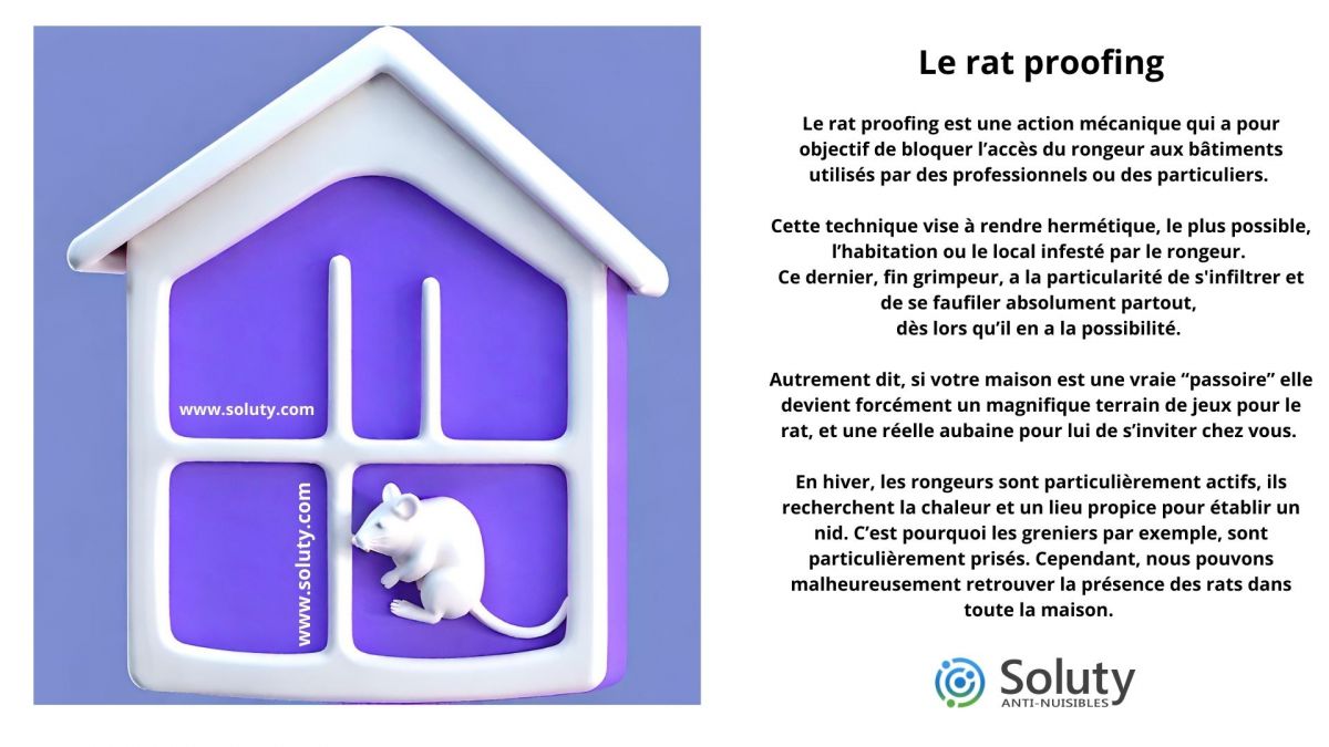 Quelles solutions est-il possible de mettre en place pour éviter d’avoir des rats, des souris ? LE RAT PROOFING