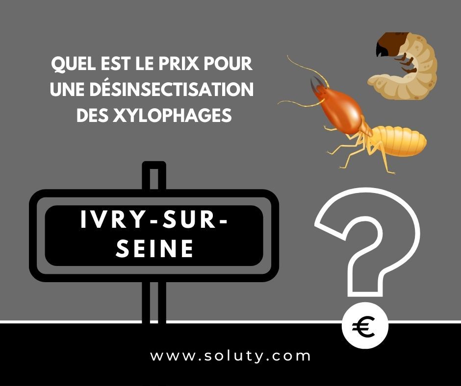 quel est le prix pour un traitement de désinsectisation insectes xylophages ? 