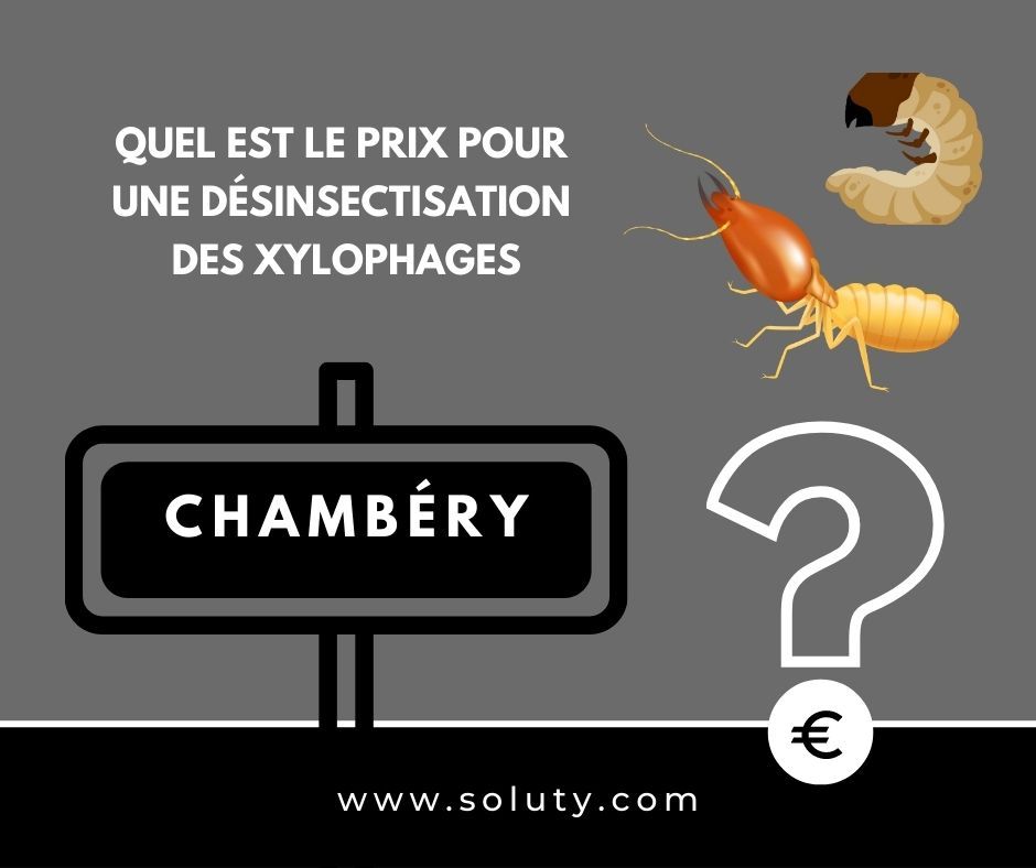 quel est le prix pour un traitement de désinsectisation insectes xylophages ? 