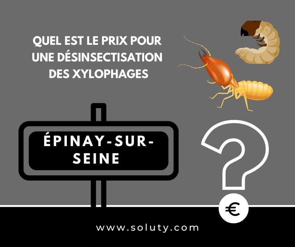 quel est le prix pour un traitement de désinsectisation insectes xylophages ? 