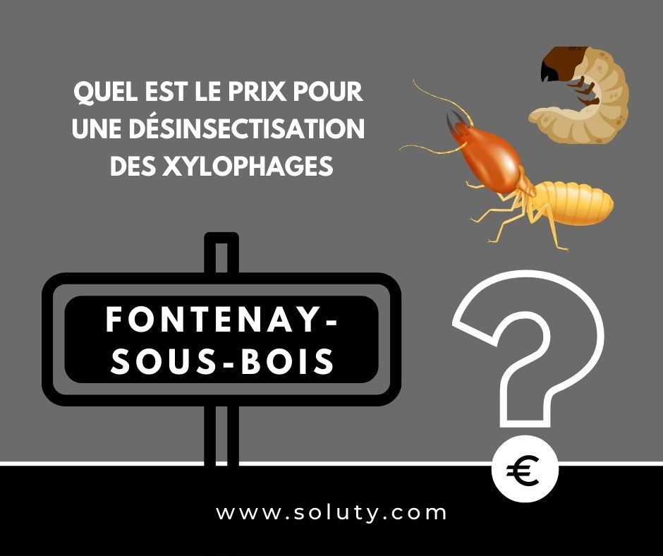 quel est le prix pour un traitement de désinsectisation insectes xylophages ? 