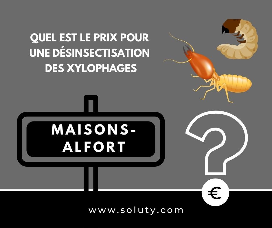 contre les insectes xylophages à Maisons-Alfort