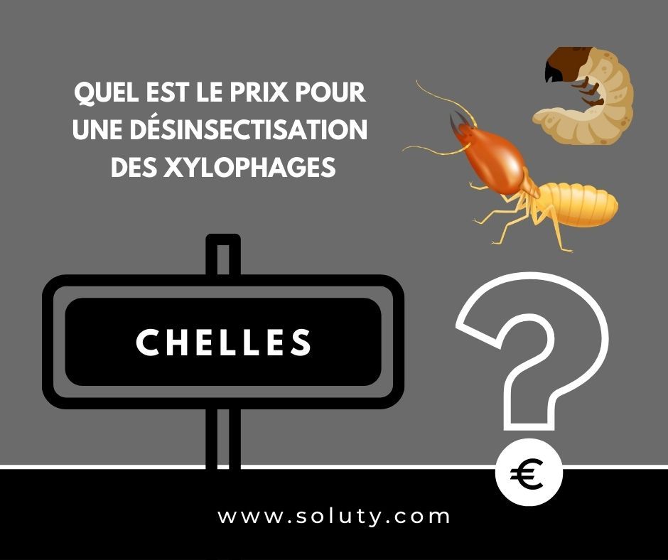 quel est le prix pour un traitement de désinsectisation insectes xylophages ? 