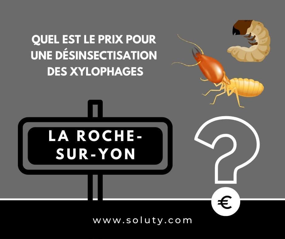 quel est le prix pour un traitement de désinsectisation insectes xylophages ? 