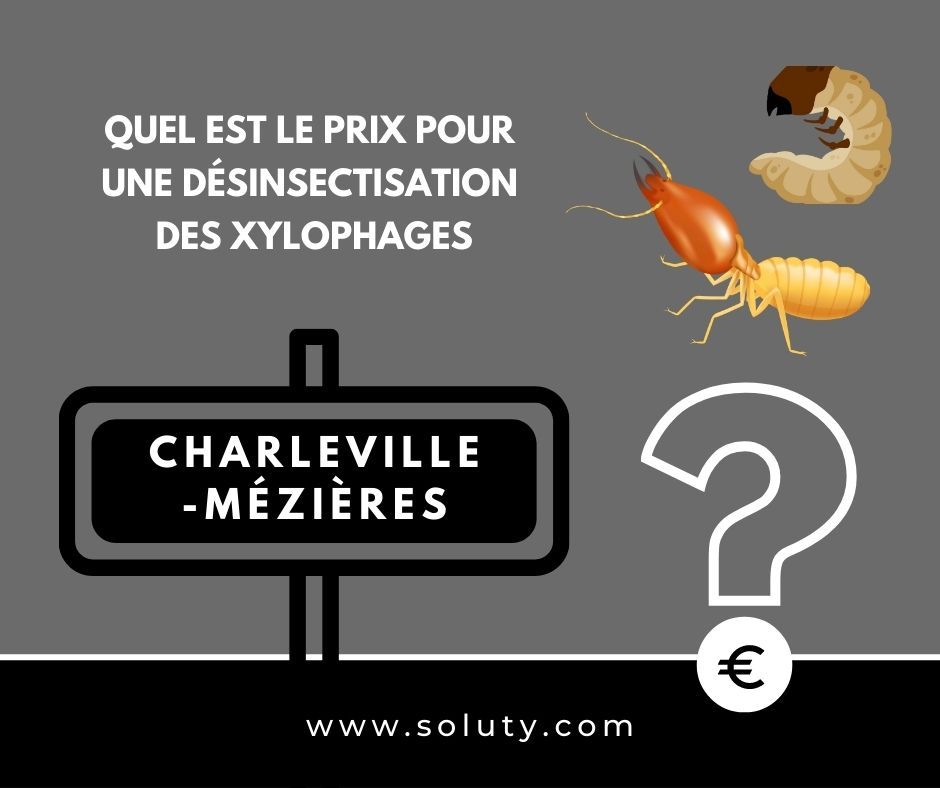 quel est le prix pour un traitement de désinsectisation insectes xylophages ? 