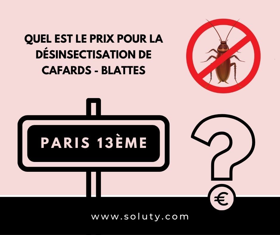 Quel est le prix pour la désinsectisation de cafards à Paris 13 ? 