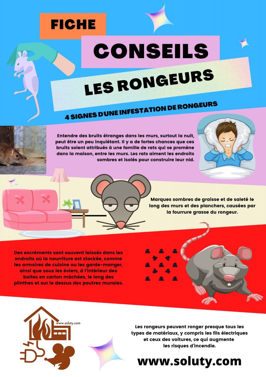 Quels sont les signes d'une infestation de rongeurs chez vous ?