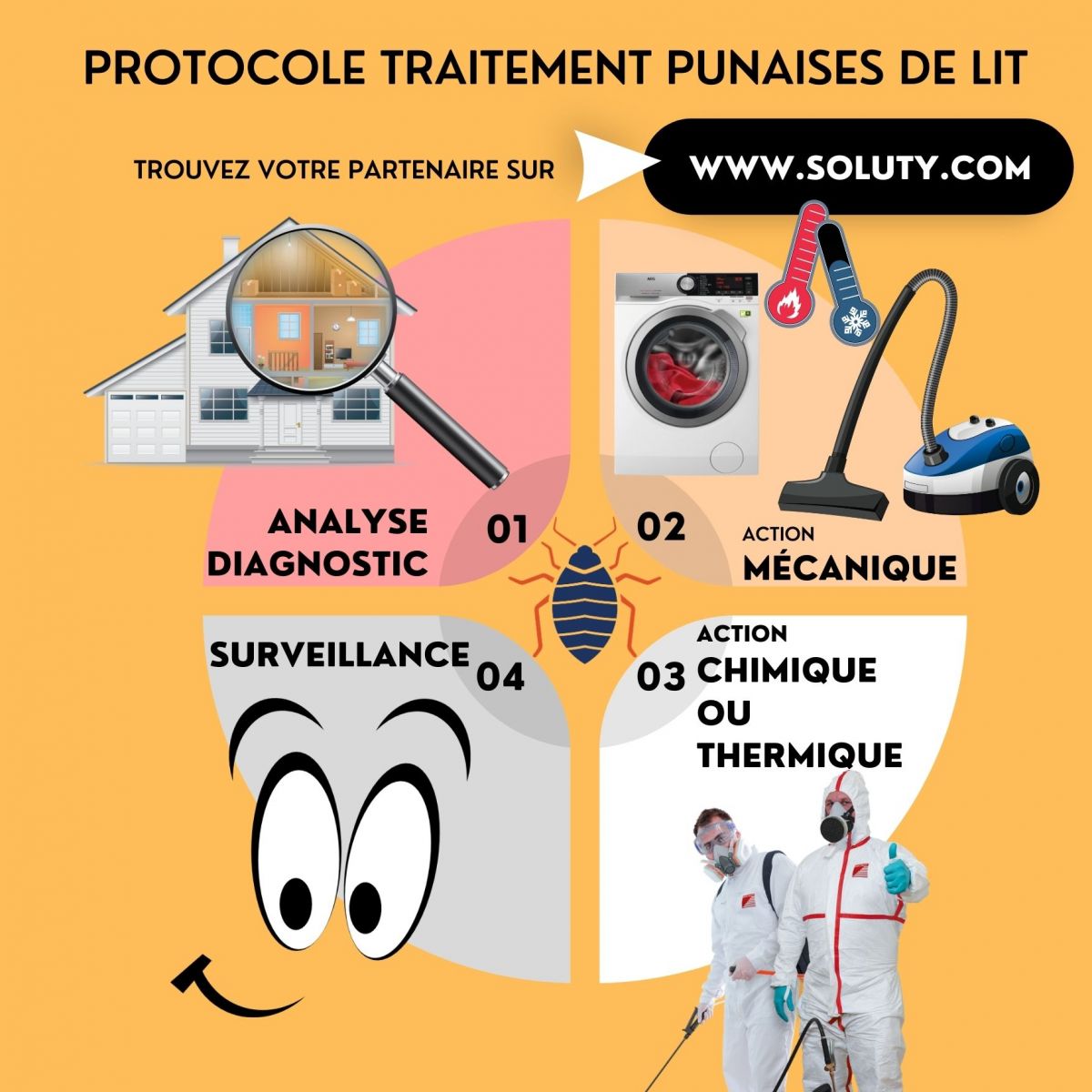 Protocole traitement punaises de lit