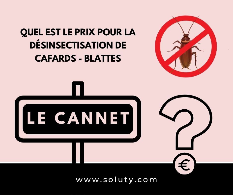 TARIFS : LE CANNET quel est le prix pour la destruction de cafards blattes ?