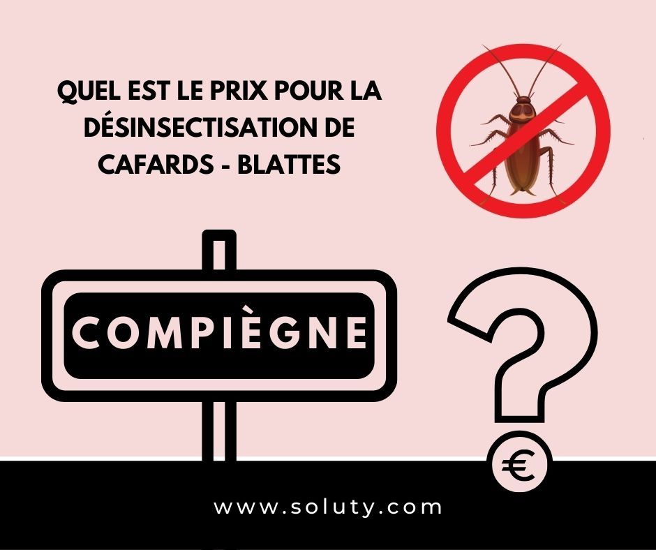 TARIFS : COMPIEGNE quel est le prix pour la destruction de cafards blattes ?