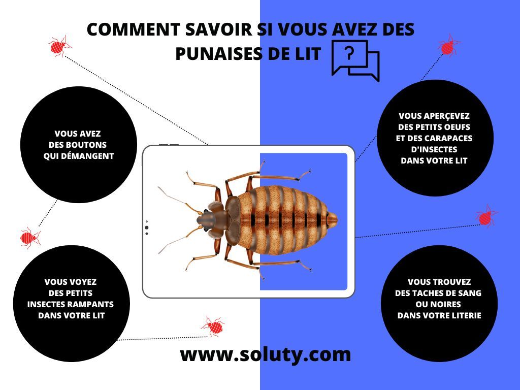 Comment détecter la présence de ces insectes sur le matelas ?