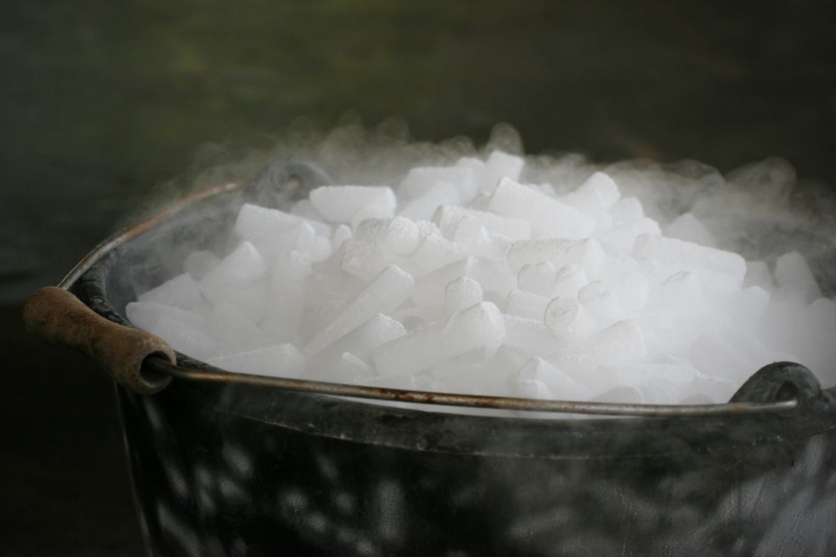 La Glace Carbonique Une Solution Innovante pour la Dératisation SOLUTY — free download