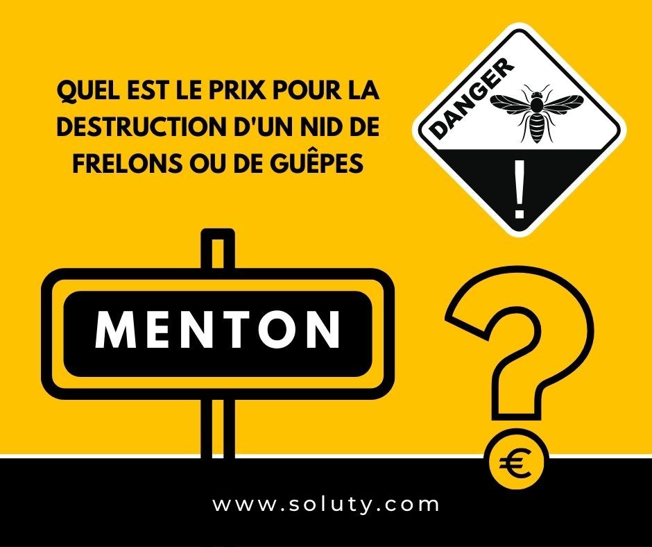 MENTON quel est le prix pour la destruction d'un nid de frelons ou de guêpes ?